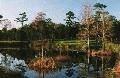 Winyah Bay golf course