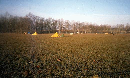 large field