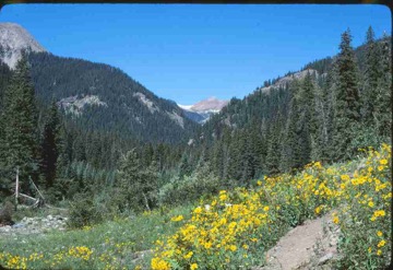 original--0108 Weminuche Wilderness Hot Spring, Colorado